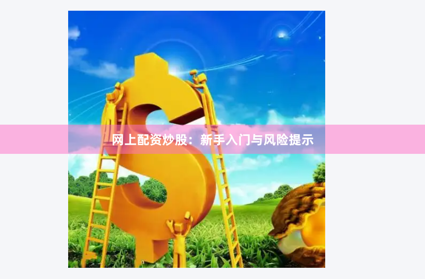网上配资炒股：新手入门与风险提示