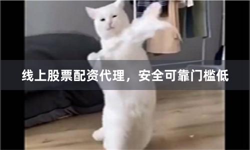 线上股票配资代理，安全可靠门槛低