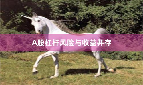 A股杠杆风险与收益并存
