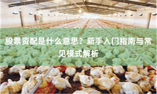 股票资配是什么意思？新手入门指南与常见模式解析