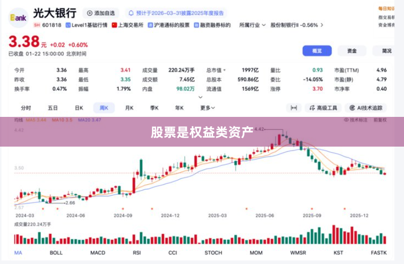 股票是权益类资产